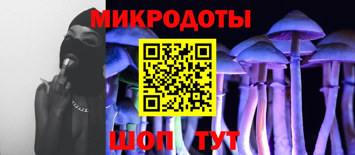 Псилоцибиновые грибы мицелий  Галлюциногенные грибы Psilocybine cubensis  Минусинск  Вход с VPN 